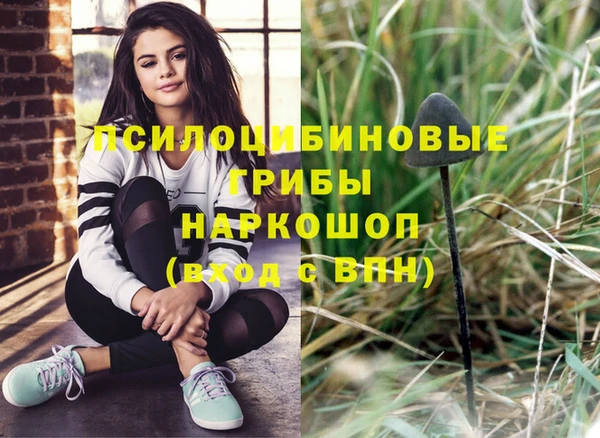 ГАЛЛЮЦИНОГЕННЫЕ ГРИБЫ Ростов