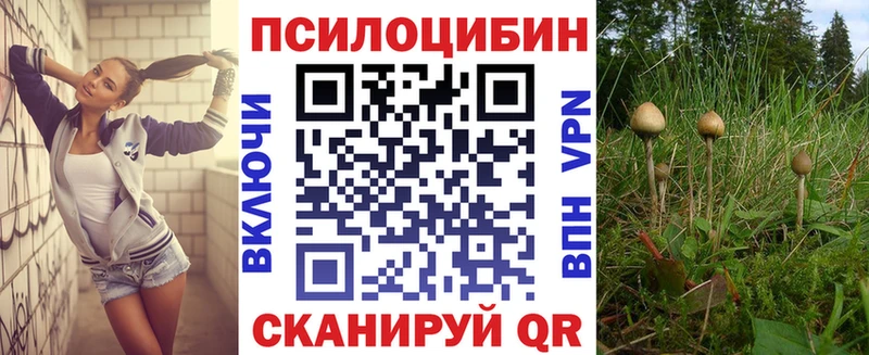 Псилоцибиновые грибы Psilocybine cubensis  Зарайск 